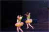 img_8858_small.jpg